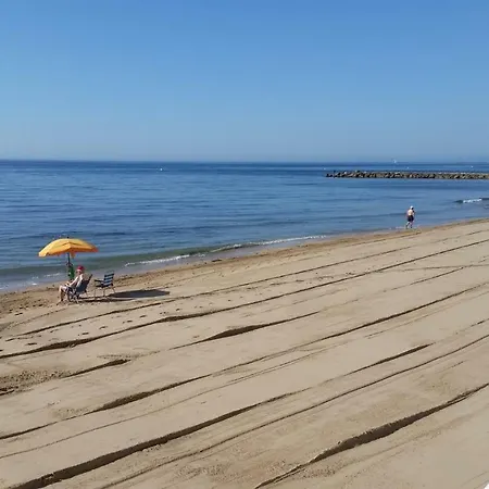 A 150 M De La Playa * Torrevieja